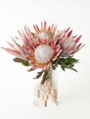 Protea Buketi