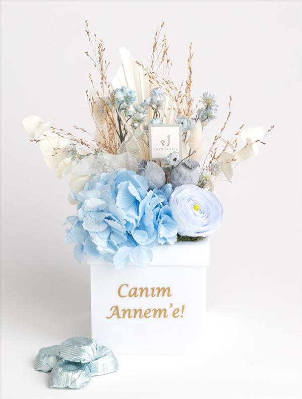 CANIM ANNEME - BLUE